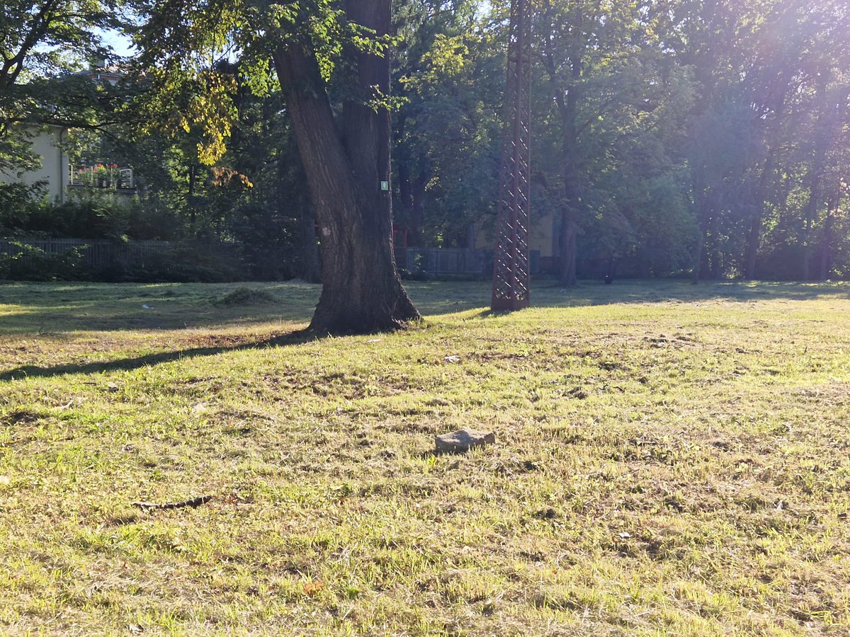 ‼️Slokas ielā 51 nozāģēts koks, uz kura bija dižkoka atzīmē, konstatēja <a href="/Dzirciems/">Dzirciema un Iļģuciema apkaimju biedrība</a>

👮Saistībā ar notikušo esam vērsušies <a href="/RigasPP/">Rīgas pašvaldības policija</a>, kas sākusi izmeklēšanu.

☝️Aculieciniekiem lūgums vērsties pie biedrības vai policijas.