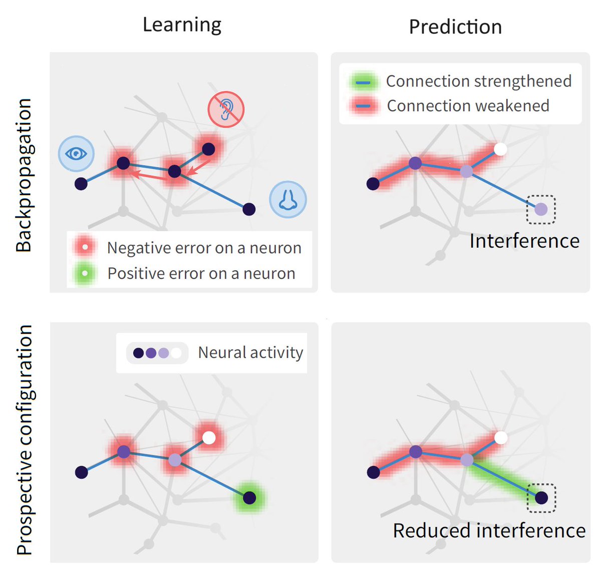 MRC BNDU, Oxford (@mrcbndu) on Twitter photo New Unit Paper in <a href="/NatureNeuro/">Nature Neuroscience</a> showing that a family of models of the brain learn more effectively than artificial neural networks in many tasks faced by animals
mrcbndu.ox.ac.uk/publications/i…
<a href="/MRCBNDU/">MRC BNDU, Oxford</a> <a href="/NDCNOxford/">Nuffield Department of Clinical Neurosciences</a> <a href="/UniofOxford/">University of Oxford</a> New Unit Paper in <a href="/NatureNeuro/">Nature Neuroscience</a> showing that a family of models of the brain learn more effectively than artificial neural networks in many tasks faced by animals
mrcbndu.ox.ac.uk/publications/i…
<a href="/MRCBNDU/">MRC BNDU, Oxford</a> <a href="/NDCNOxford/">Nuffield Department of Clinical Neurosciences</a> <a href="/UniofOxford/">University of Oxford</a>