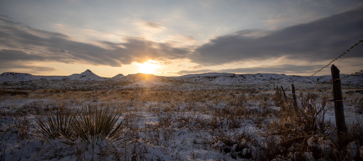 XITRanch's tweet photo. The Panhandle
.
.
.
.
.
.
.
#xitranch #panhandle #wtitbtx #tenintexas #texas #sunset #caprock #ranchlife #cowboycode https://t.co/YeSrN0MP5r