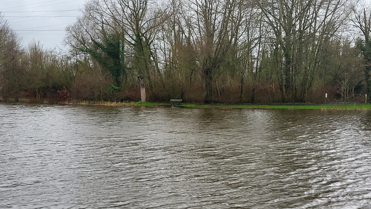 Lien De Leenheer 🇧🇪🇪🇺🌎🦄 tweet media