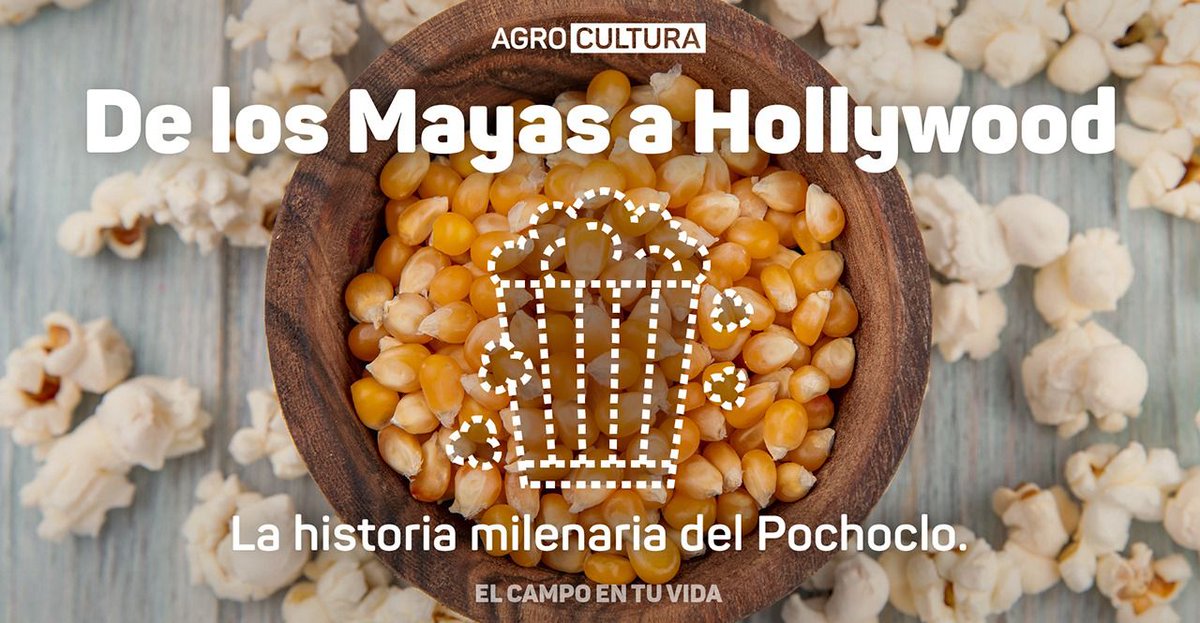 aapresid's tweet photo. 🍿¿Sabías que más del 70% de la venta de alimentos en el cine provienen del Pochoclo?

Leé la nota completa en @elcampoentuvida y conocé la historia con todos los datos más curiosos de este snack tan versátil #ElCampoEnTuVida 👇🏼

🔗Link: https://t.co/IMkjOZhFM8 https://t.co/2WeDBbhHTE