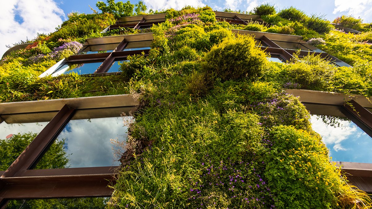 Spannendes Finale für "grüne" Nachwuchsgründer:innen in der LBS in Münster: Am 13.01. werden beim zweiten Climate Hack die besten Ideen für nachhaltige Geschäftsmodelle prämiert. Wer noch mitmachen möchte, kann sich bis zum 07.01. hier anmelden: tinyurl.com/2sjaay2z