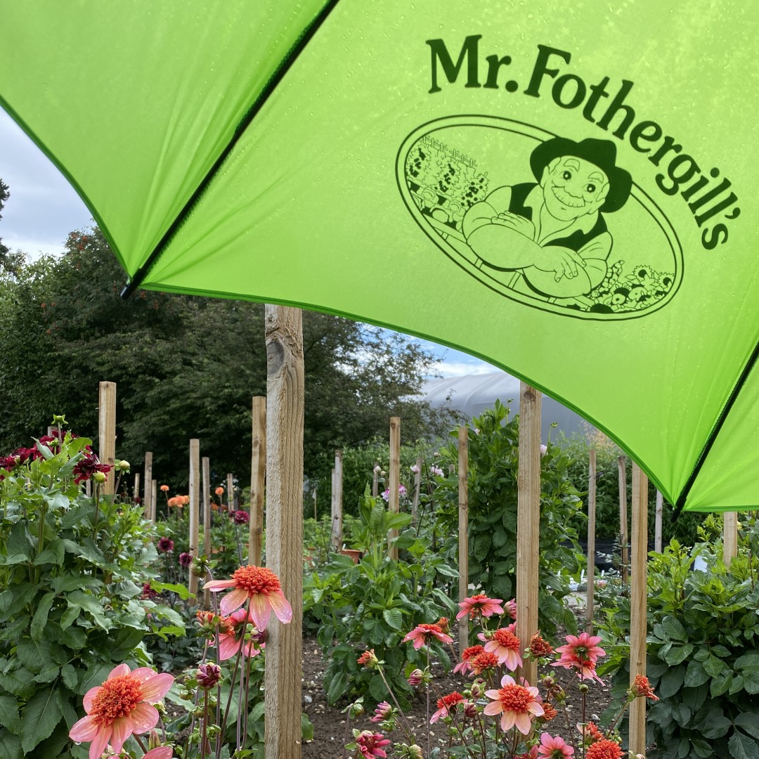 Mr Fothergills Seeds tweet media