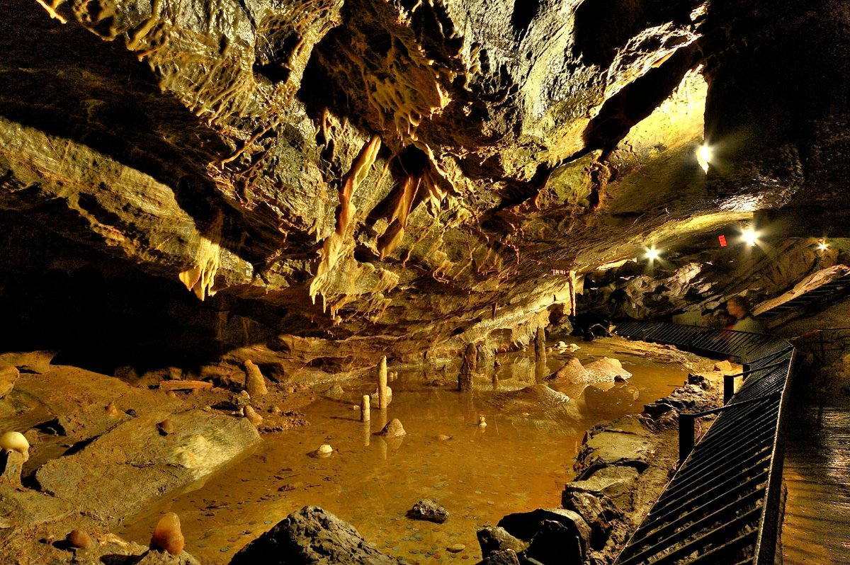 CheddarGorge_'s tweet photo. Happy birthday to J. R. R. Tolkien 🎂 He based the Glittering Caves in Helm's Deep off the caves here at Cheddar Gorge, and really, it's not hard to see why! https://t.co/m12eUhEmlE