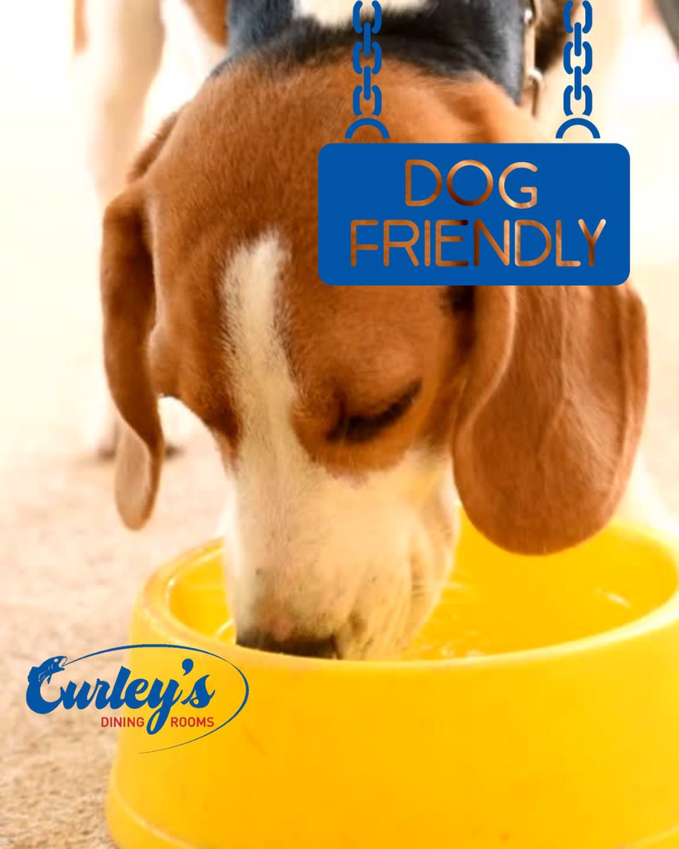 We are very dog friendly here at Curley’s and we are the perfect location for you to pop in for a bite to eat for breakfast, lunch or late afternoon while you are out on a walk🐾 #curleysdiningrooms #horwich #dogfriendly #walkingstop #breakfast #lunch #brunch #walking #bolton