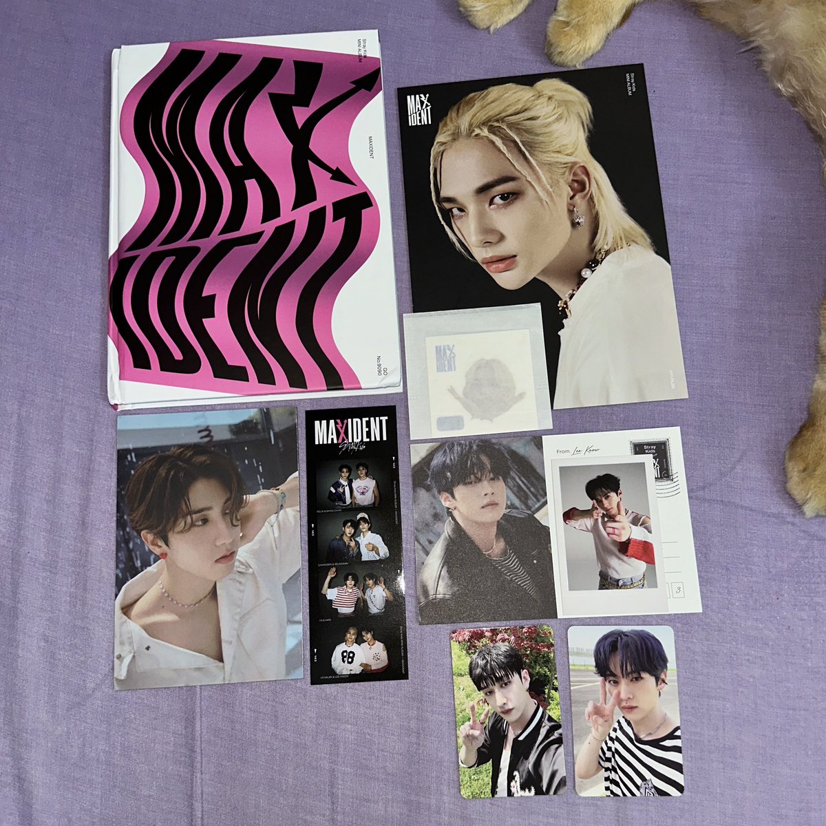 linoizall's tweet photo. good news everyone, after like 2 years my maxident albums from bubblestarnoona is finally here 😇

such a banger pulls 😍❤️❤️❤️❤️ (featuring my cat, Simba) https://t.co/jcYI987pCA