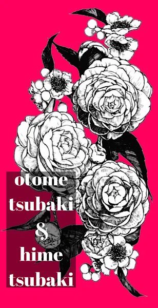 新柄乙女椿(と姫椿ですが乙女椿と呼ぼうかなと) 