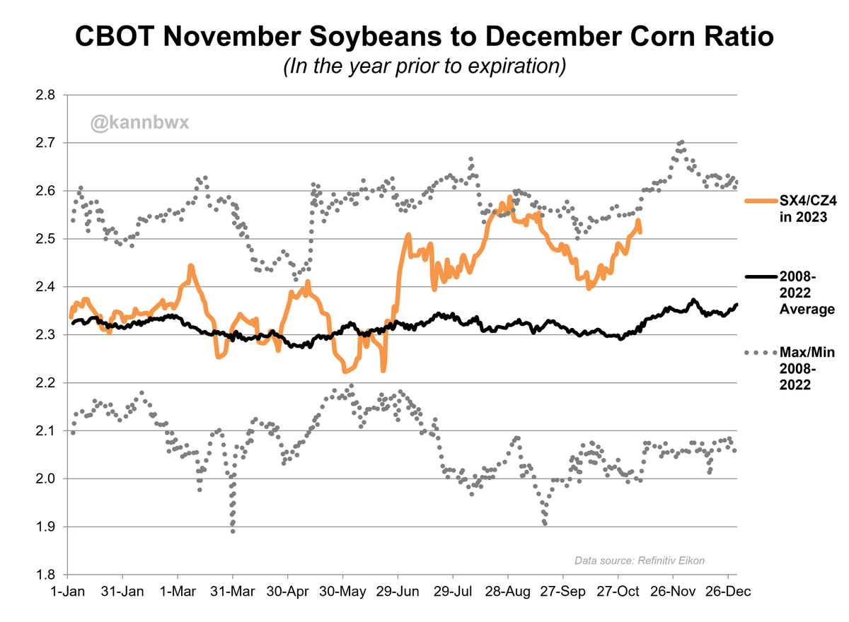Lauren Johnson tweet media