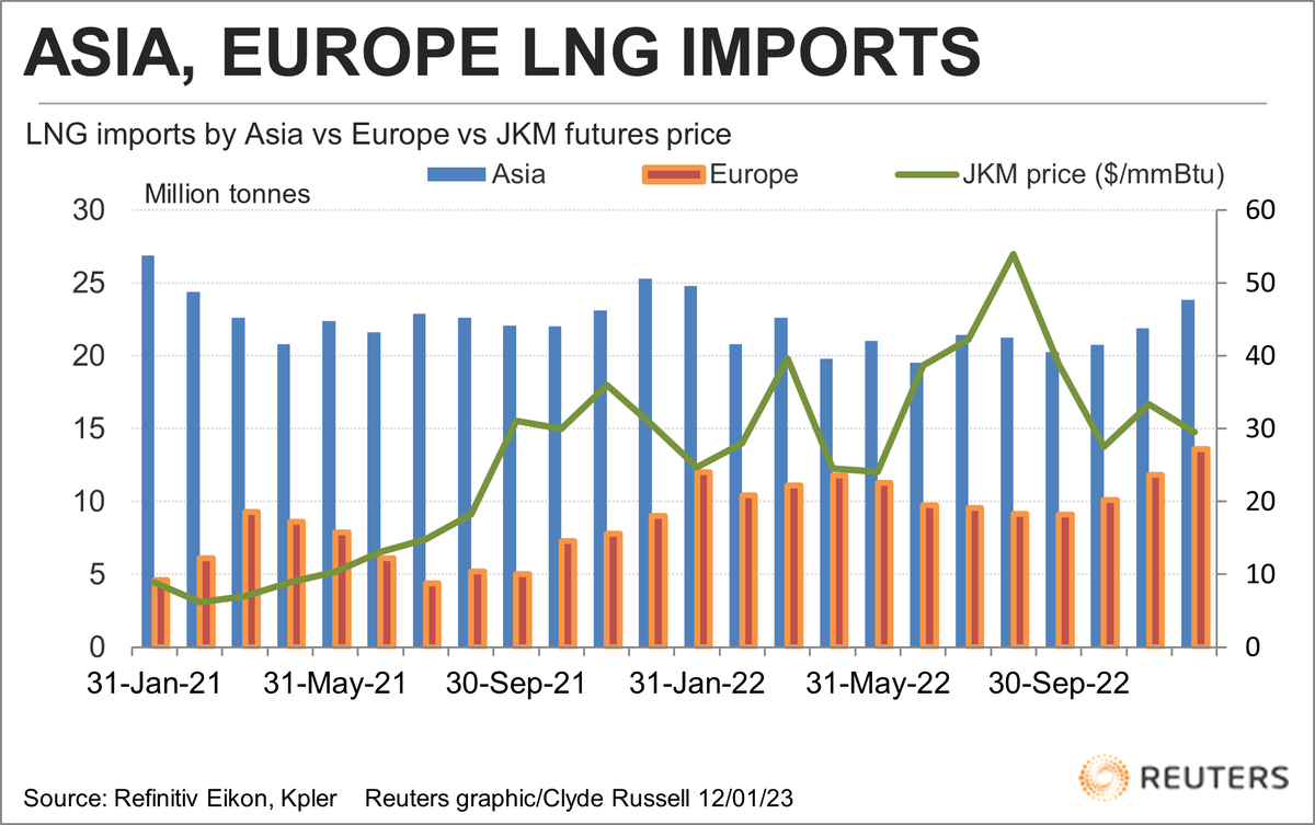 Lauren Johnson tweet media
