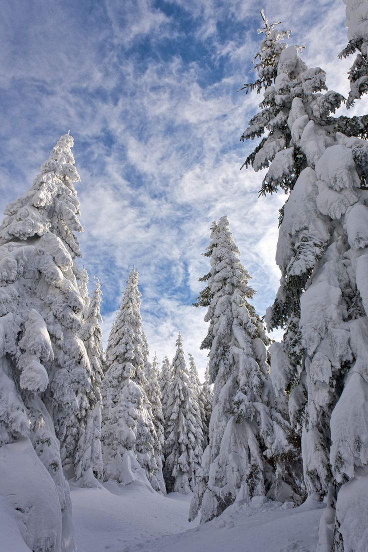 crestaoutdoor's tweet photo. Happy New Year from the mountains! May 2024 brings us plenty of adventures, excitements, and opportunities for growth!

#outdoors #nature #winterwonderland #outdoorclothing #skiing #explore https://t.co/dpwX7I7c6o