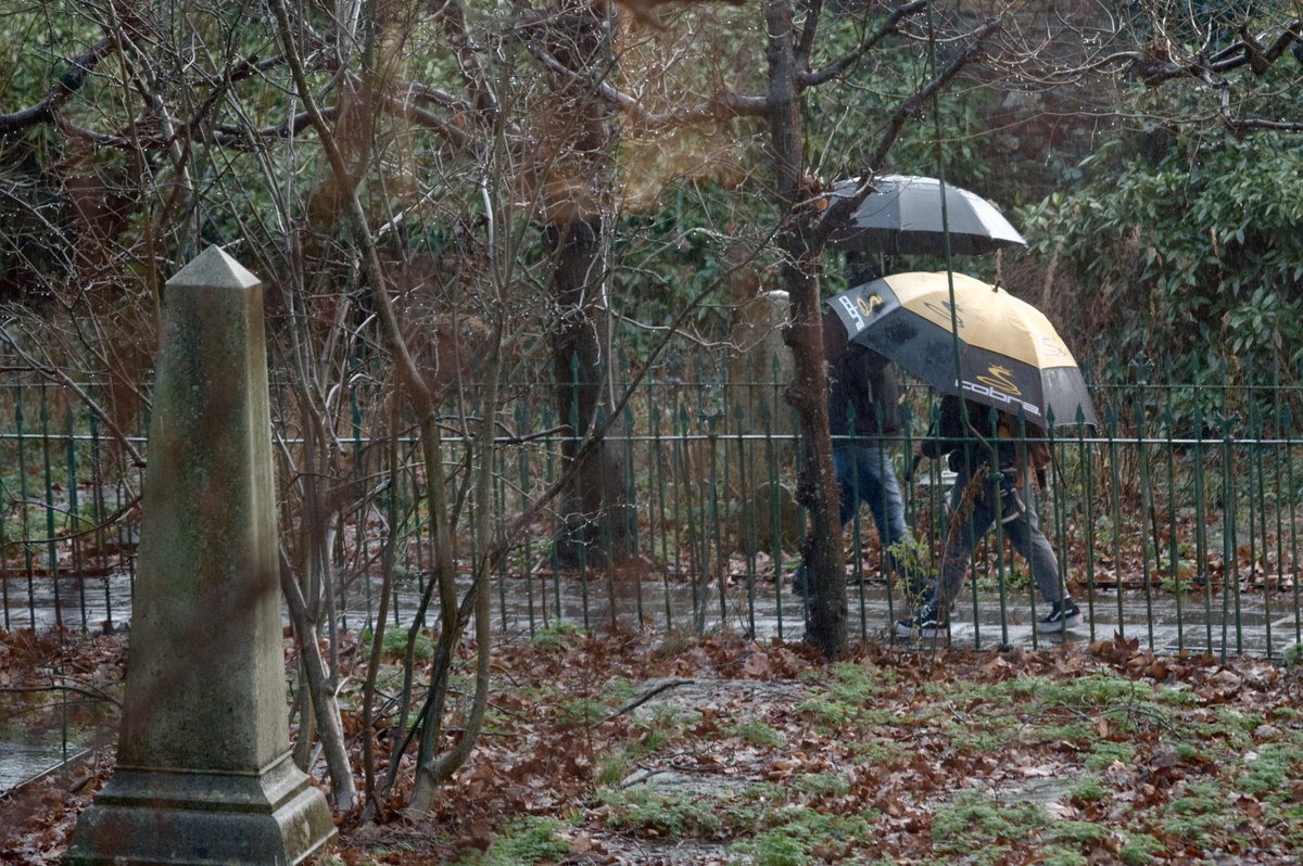 martkelly's tweet photo. Well you have to look on the bright side, lot’s of interesting umbrellas going past this morning. https://t.co/hwS67baZFB