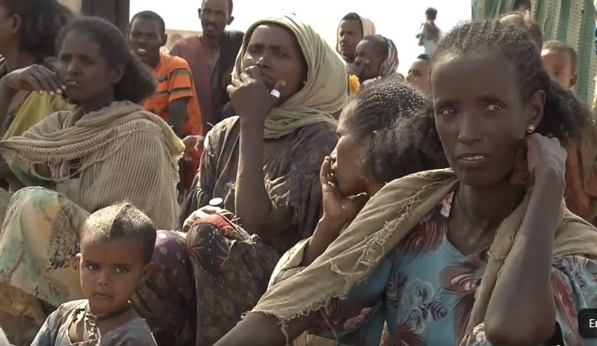 #Ethiopia: Displaced Tigrayans face starvation, plead for assistance In #Abergelle_Yechila, #Tigray region, a cry for help rises from over 800 internally displaced persons (#IDPs), who have been suffering since fleeing the war in Western Tigray in November 2020. These