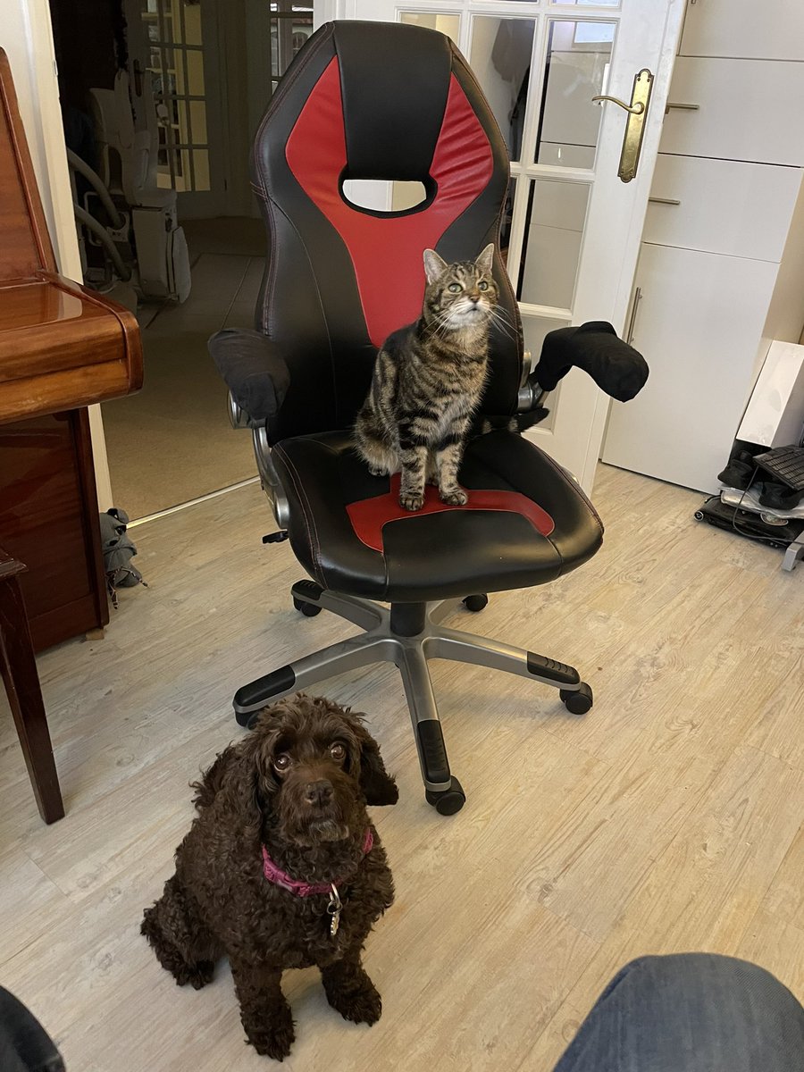 RobCottingham1's tweet image. Coco and Sassy cat &apos;helping&apos; me in my studio yesterday.
Loving learning more about the Korg Nautilus workstation, to be fair. 
And there will be some surprises this year...all very exciting...
@KorgUK 
#cairorocks
#newmusic
#newprogramming
#newproject
#korgnautilus
#korg
#progdog