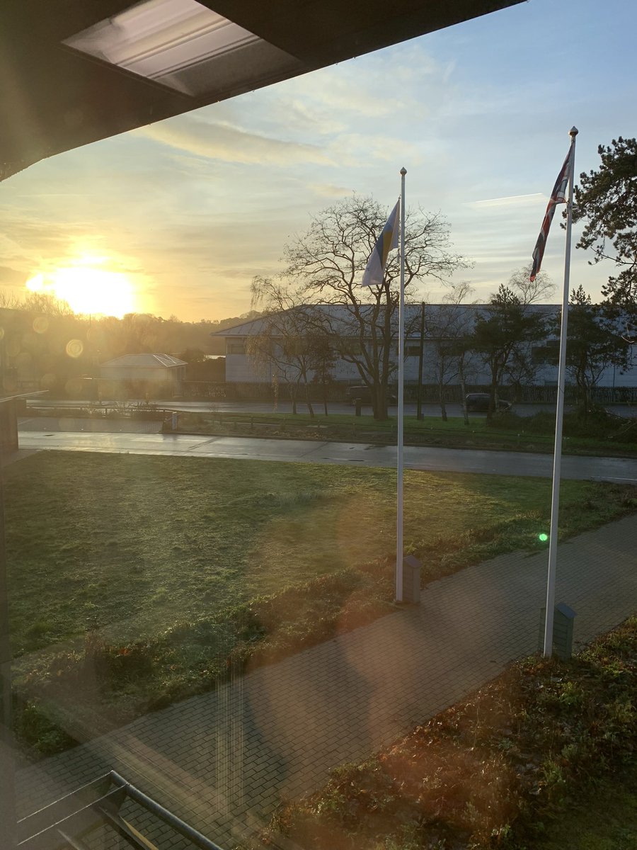 Chris Bally tweet media