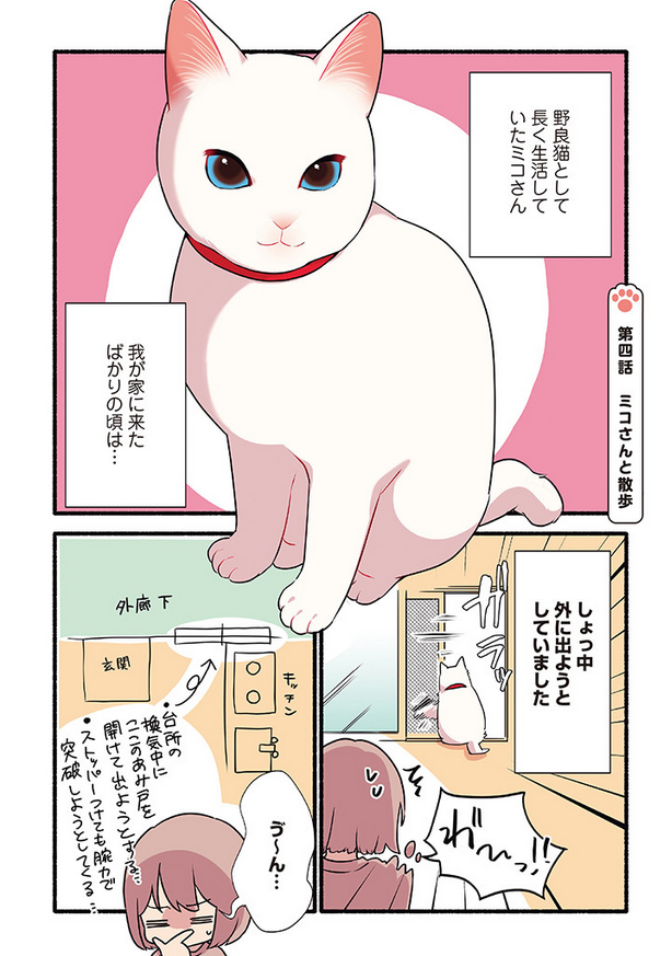 飼い猫🐈が脱走しかけた話😱💨💨 (1/3)  #漫画が読めるハッシュタグ #愛されたがりの白猫ミコさん
