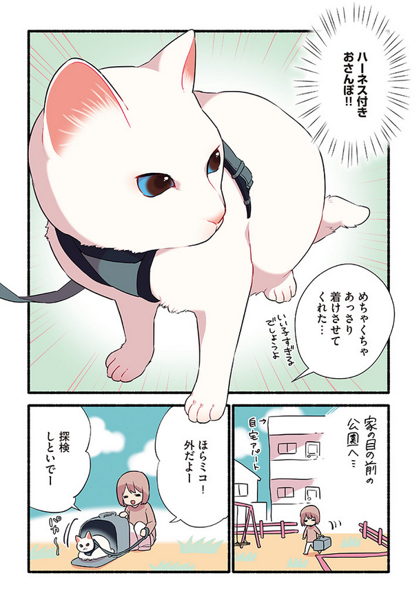 飼い猫🐈が脱走しかけた話😱💨💨 (2/3) #漫画が読めるハッシュタグ #愛されたがりの白猫ミコさん