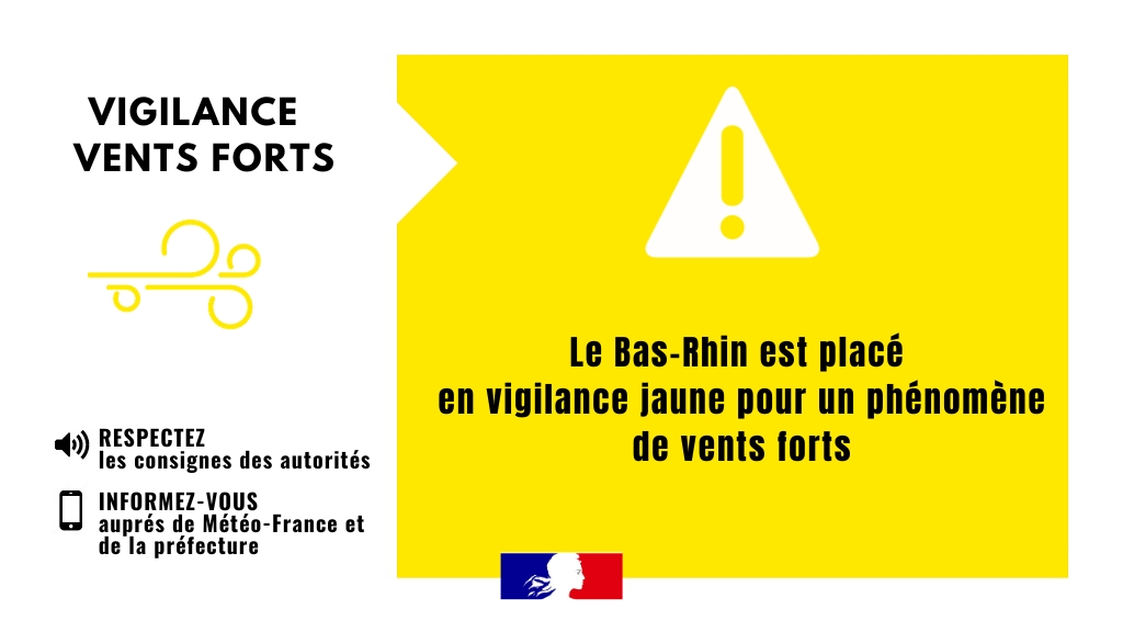 Prefet67's tweet image. #VigilanceMétéo  | Le département du #basrhin est placé en vigilance jaune🟡#vents à partir du 3 janvier à 15 h.
➡️ Rafales de vents pouvant atteindre 90 km/h 
📢 Restez vigilants et suivez l'évolution de la situation:  vigilance.meteofrance.fr/fr/bas-rhin