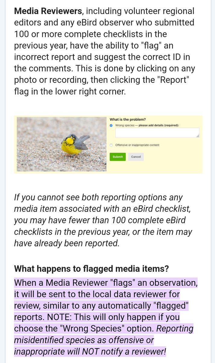 Jeremy Lindsell tweet media