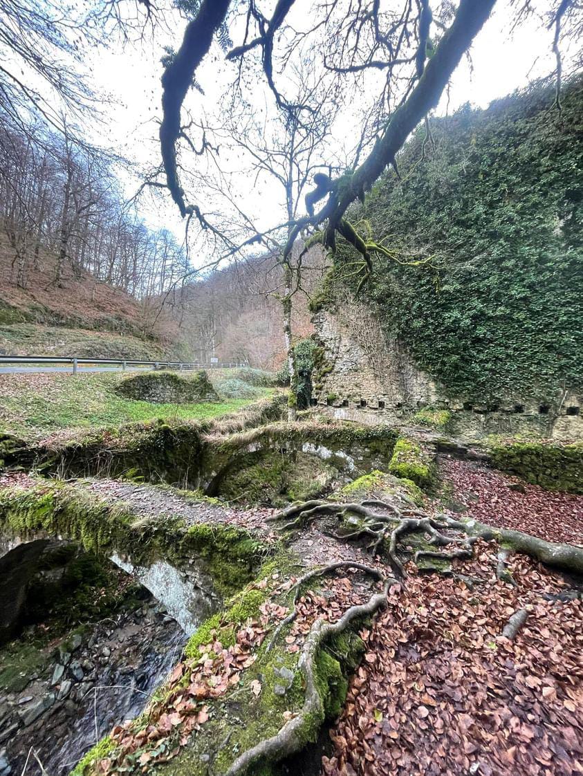 annavela86's tweet photo. ERGUI
.
.
.
Real fàbrica de municions enmig de la salvatge i espectacular natura de #Navarra #Nafarroa #Eugui https://t.co/7daoHcz5bi