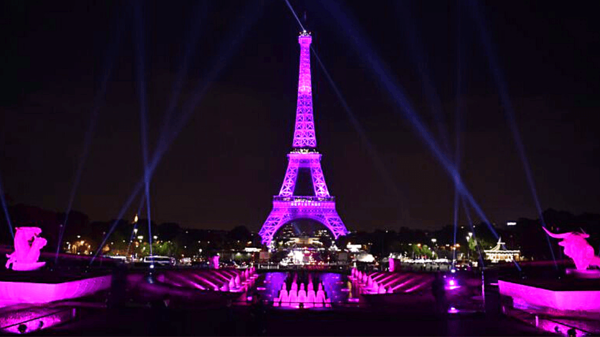 LaCafeteraWar's tweet photo. la torre eiffel ell lunes cuando violeta salga favorita #otdirecto3e https://t.co/4g2hjXWL1q