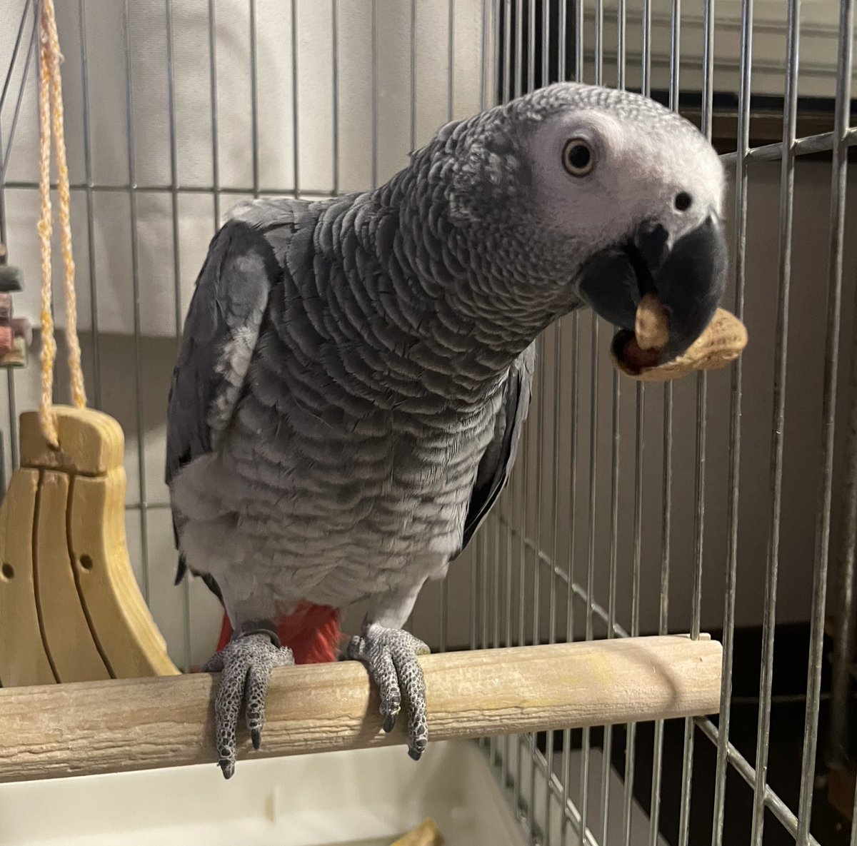 あけましておめでとうございます！
新年からいろいろありましたね、、みなさん大丈夫でしょうか😓