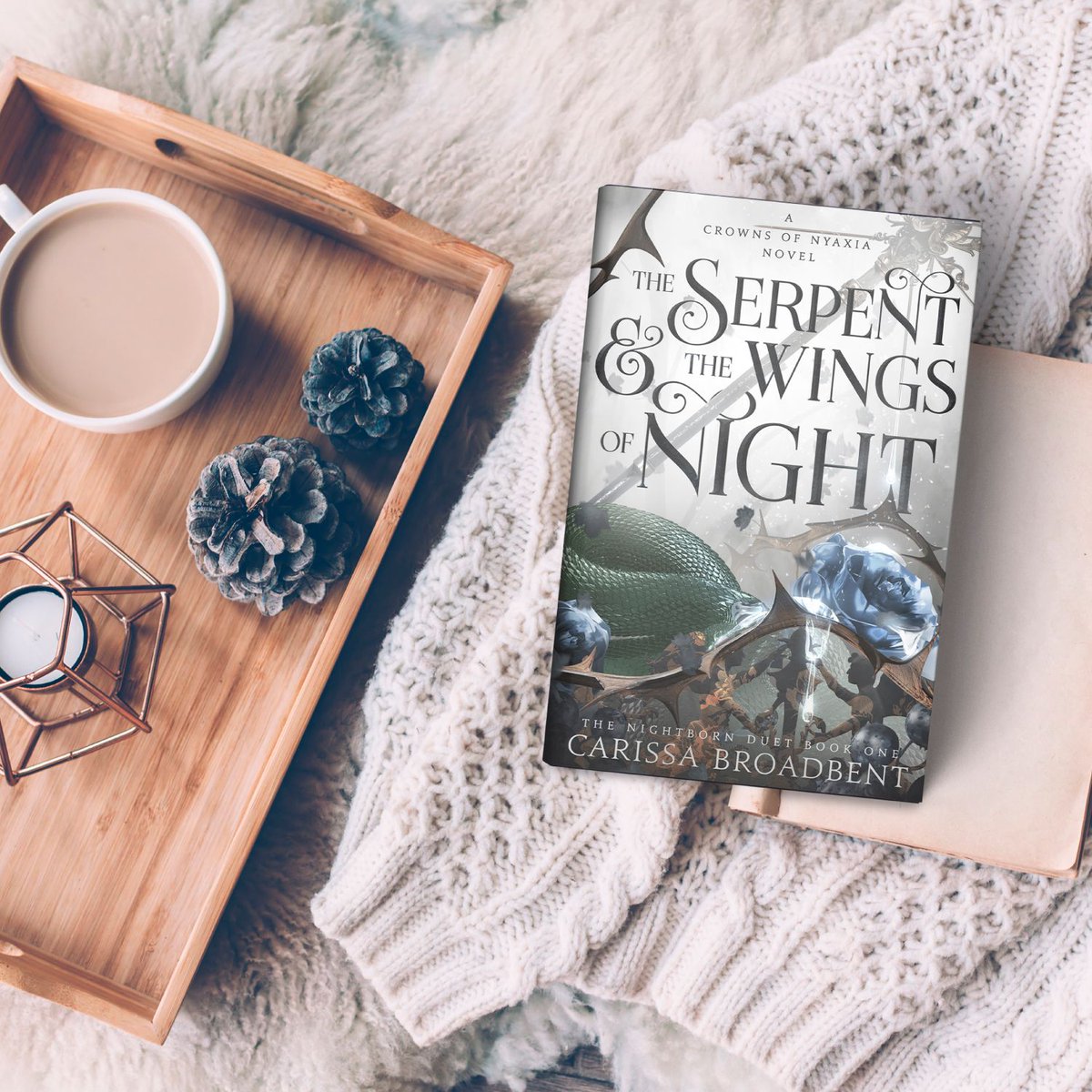 There's nothing more deadly than love . . . 💗 This new hardback edition of The Serpent & the Wings of Night by @CarissaNasyra features beautiful, brand-new case art and a detailed map of the Obitraes Out now: buff.ly/4aJ3FuT