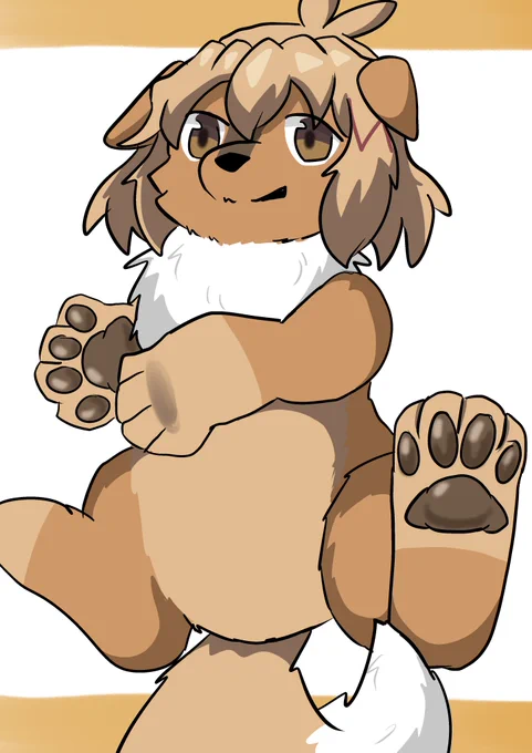 犬花 