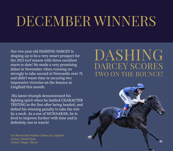 dashingdisty's tweet photo. We are extemely proud of our company horse Dashing Darcey and can't wait to see what 2024 holds instore for him!! #dashingdarcey #opulencethoroughbreds #rogervarian #DavidEgan #RaceWinner https://t.co/nAL97nqKGP