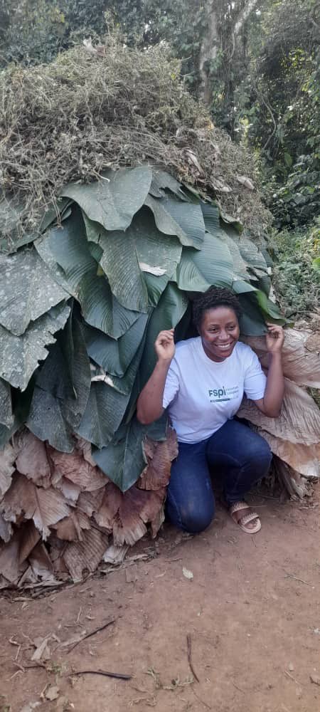 FSPI Transition Écologique tweet media