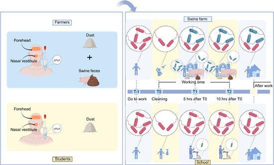 iMetaScience's tweet photo. Daily occupational exposure in swine farm alters human skin microbiota and antibiotic resistome  
#antibiotics #Resistance #AMR #microbiome #resistome 
@wileymicrobio @wileyhealth @wileybiomedical
https://t.co/3rBAHgQbHI