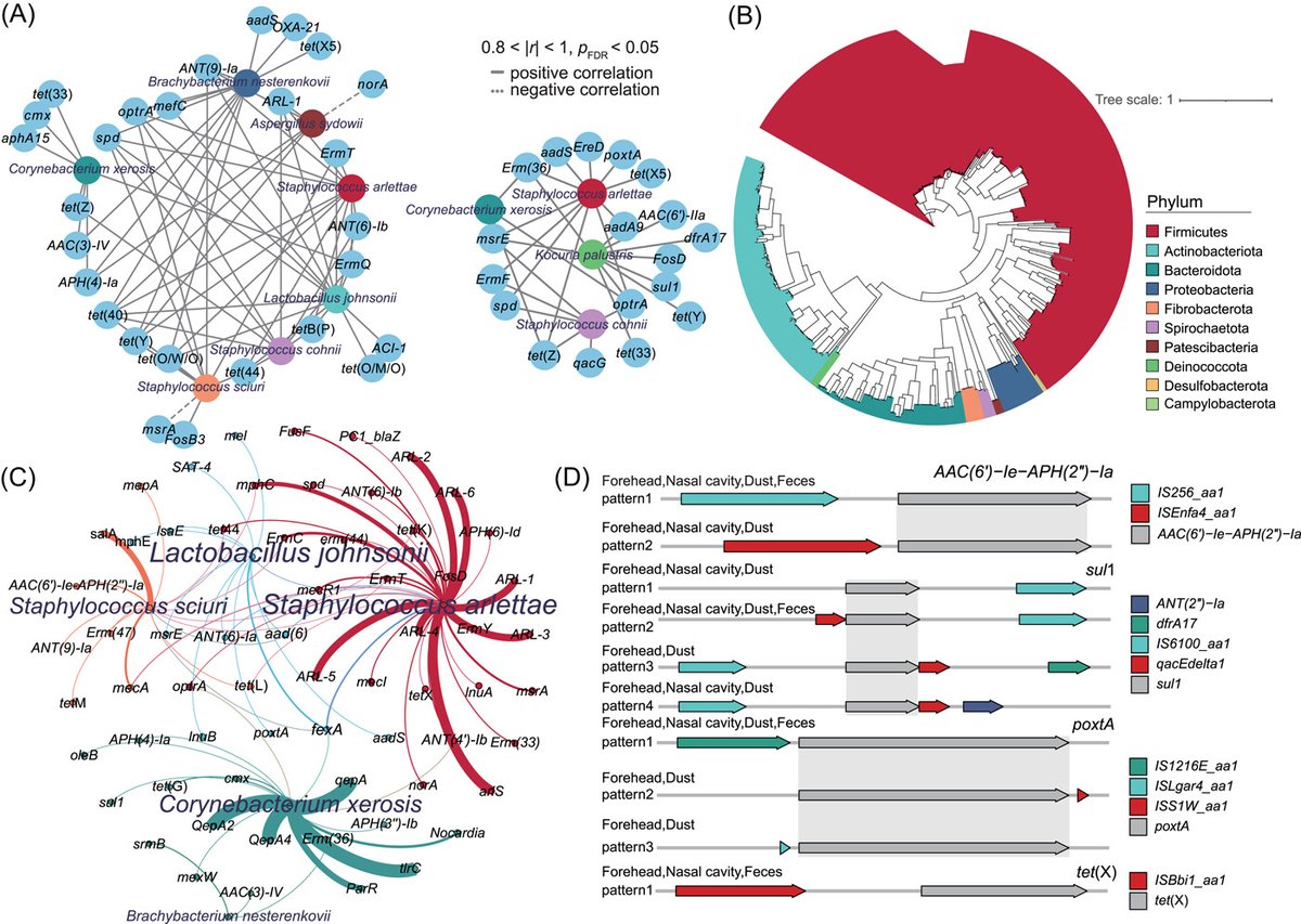iMetaScience's tweet photo. Daily occupational exposure in swine farm alters human skin microbiota and antibiotic resistome  
#antibiotics #Resistance #AMR #microbiome #resistome 
@wileymicrobio @wileyhealth @wileybiomedical
https://t.co/3rBAHgQbHI