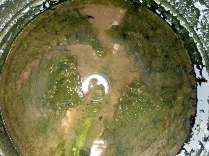 peace_igho's tweet photo. When Last Did You Wash The GP Tank In Your House?? https://t.co/3gA3Vp74Vw
