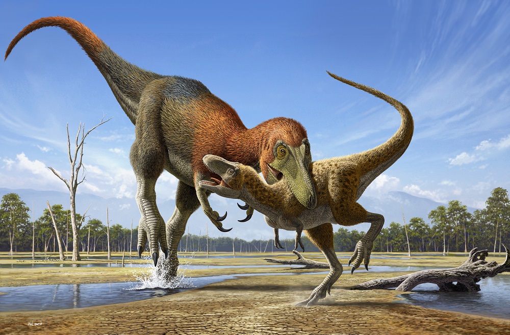 UniofBathNews's tweet photo. Spot the difference: New study @MilnerCentre finds that "juvenile T. rex fossils" actually belong to different species, re-igniting a long debate among palaeontologists. #Nanotyrannus
https://t.co/AZiL6oggTD https://t.co/XGoKargjlI