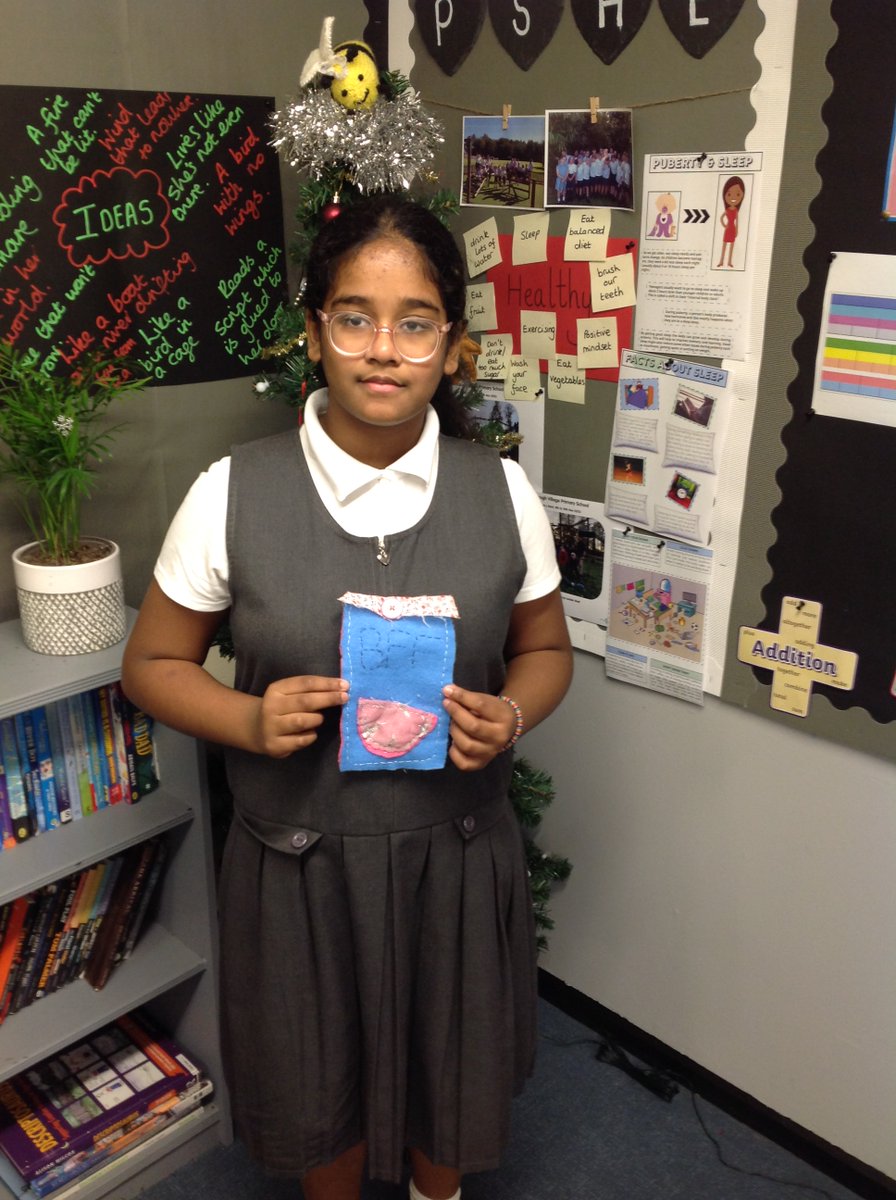 BVPS Year 6 Class Page tweet media