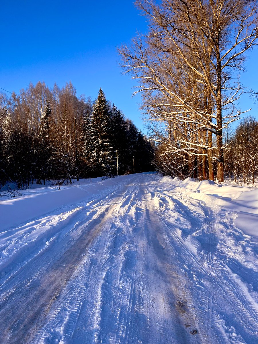 schrgrdr's tweet photo. Сидите дома и пейте какао, я погуляла в -33° за вас. https://t.co/tk1ygWUNaF