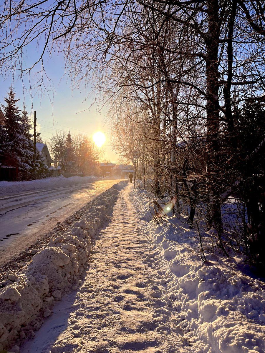 schrgrdr's tweet photo. Сидите дома и пейте какао, я погуляла в -33° за вас. https://t.co/tk1ygWUNaF