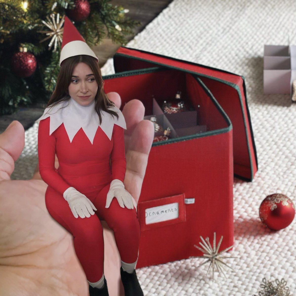 The gig was up Arrietty either came clean about not being an Elf on the Shelf, or she spent the next ten months in a decoration box…
#borrowers #arrietty #elfontheshelf