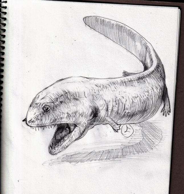 クラッシギリヌス(Crassigyrinus)を描いてみたぞ。 #古代生物 #お絵描き