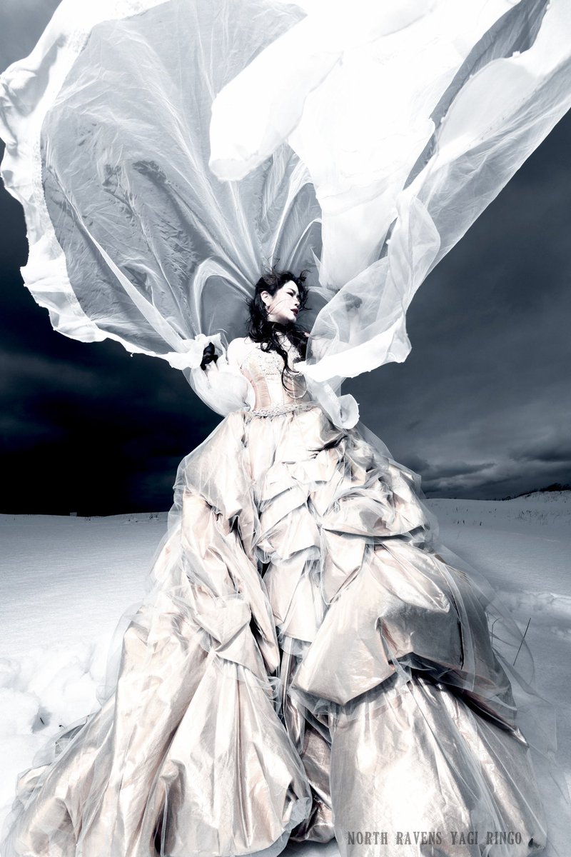 YAGI RINGO tweet media