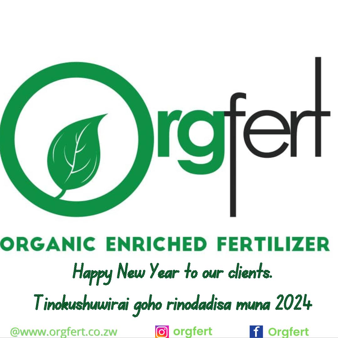 Orgfert1's tweet image. #Kohwazvinodadisa
#harvestwithpride