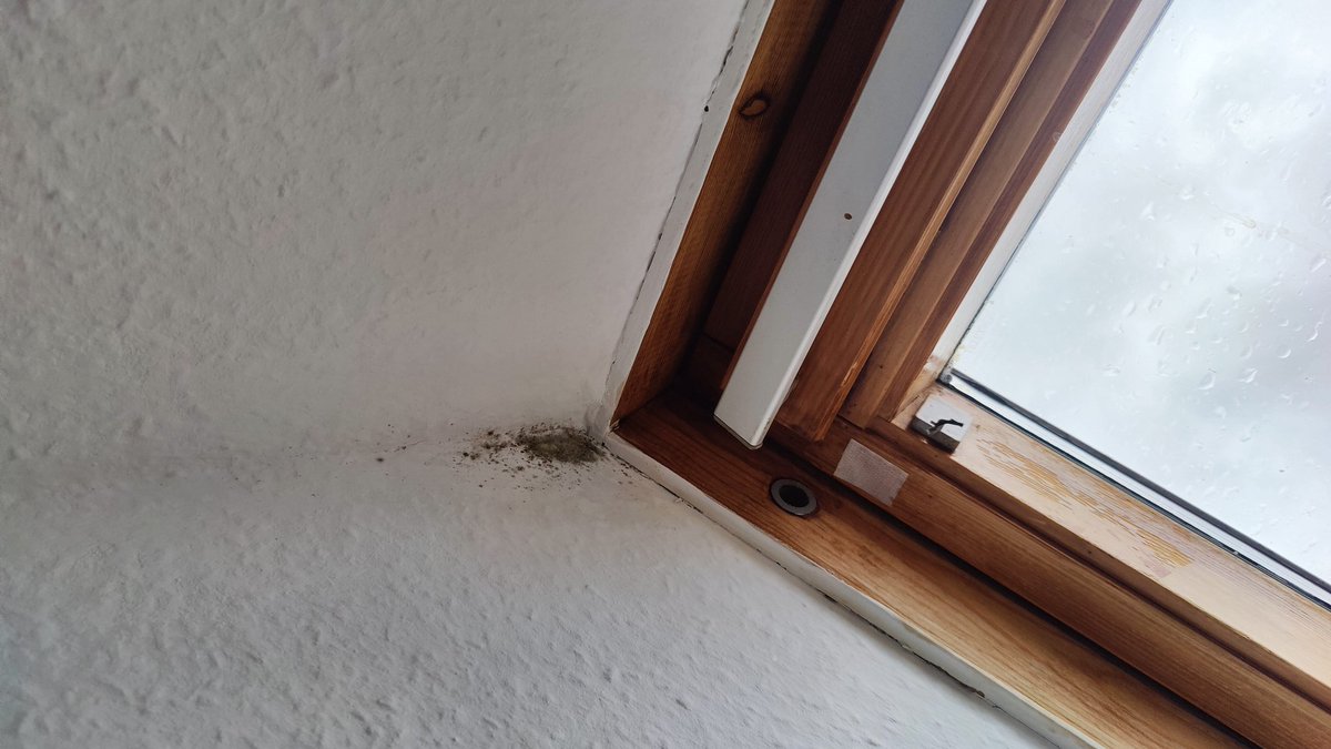 Opakuh's tweet photo. @LEGwohnen Können Sie bitte Ihre E-Mail antworten? Wir brauchen Ihre Hilfe. Schimmel ist überall. (Ja wir lüften danke) https://t.co/OOp5Lnmcou