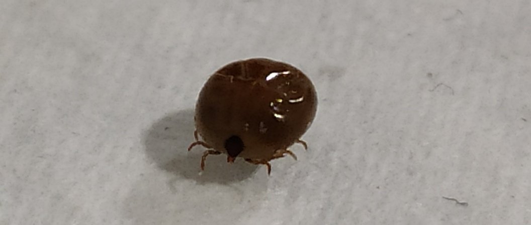 DrGeethu Joe tweet media