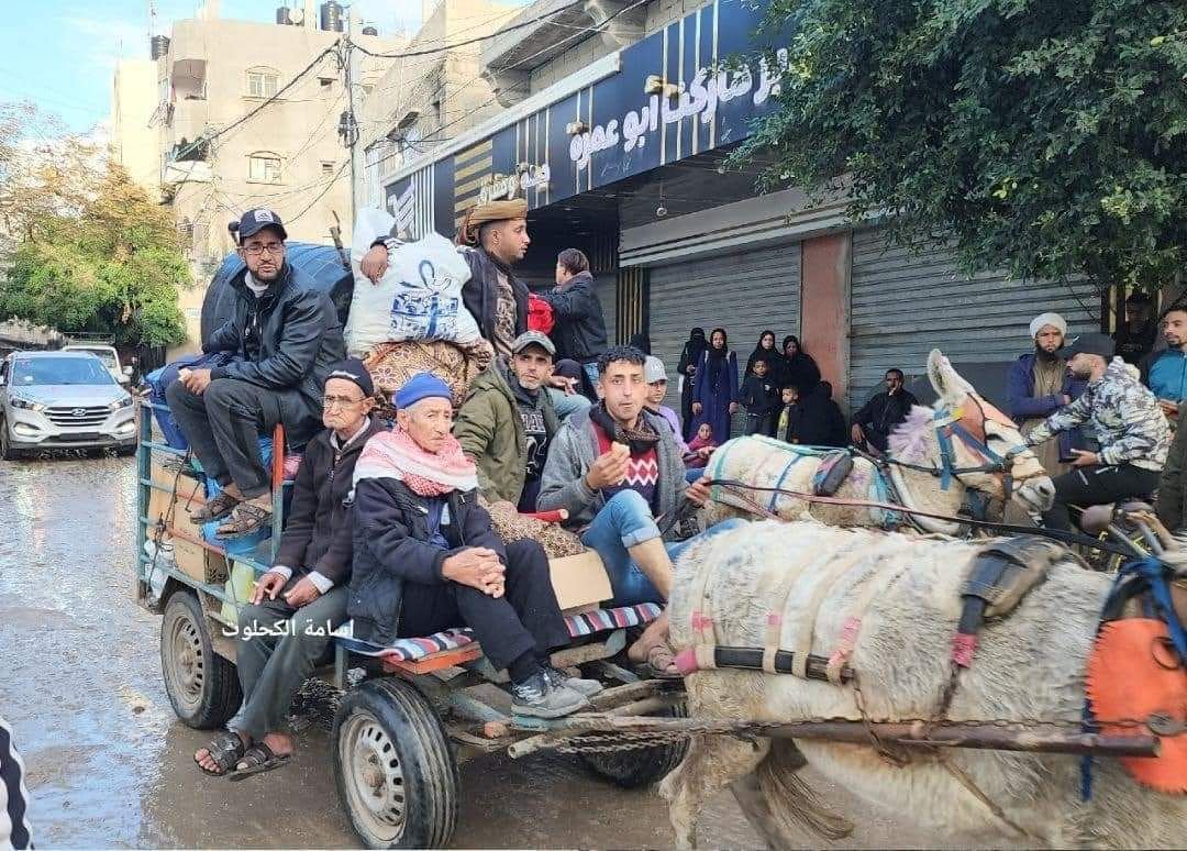 💚 "24 jam ini IZRL sudah membunuh 125 orang dan mengakibatkan 318 luka luka."

TIAP HARI RATUSAN GINI 💔💔💔💔 JANGAN LELAH RETWEET LIKE SHARE 🇵🇸 + BOlKOD