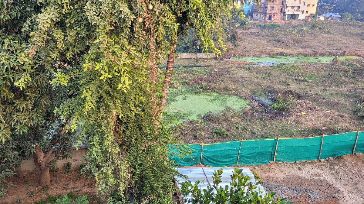 satyasethi's tweet photo. @CMO_Odisha @Naveen_Odisha Sir, I invite your attention to apathy of @baripadam . In the middle of  Ward No-9, Madhuban. There is a huge drain leakage. This is transformed to be a heaven for mosquitoes and bad odour throughout the day (Image attached).

Request you to kindly escalate this. 
@DM_Mayurbhanj https://t.co/4lwkJ1vQDN