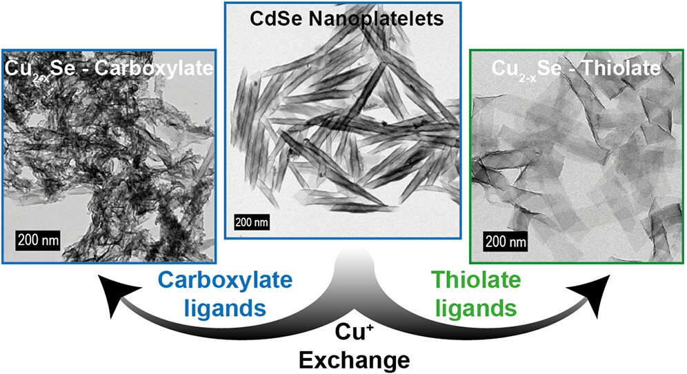 ChemMater's tweet photo. Impact of the Surface Chemistry of 2D #Nanoplatelets on Cation Exchange
By Sandrine Ithurria et al. @Sorbonne_Univ_ @synchroSOLEIL @UnivParisSaclay
Read the paper 👉 https://t.co/NxyFBYtpe0 https://t.co/7KHIarfdxv