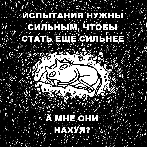 wmascat's tweet photo. я вот думаю .. https://t.co/HSUGlbjnd5