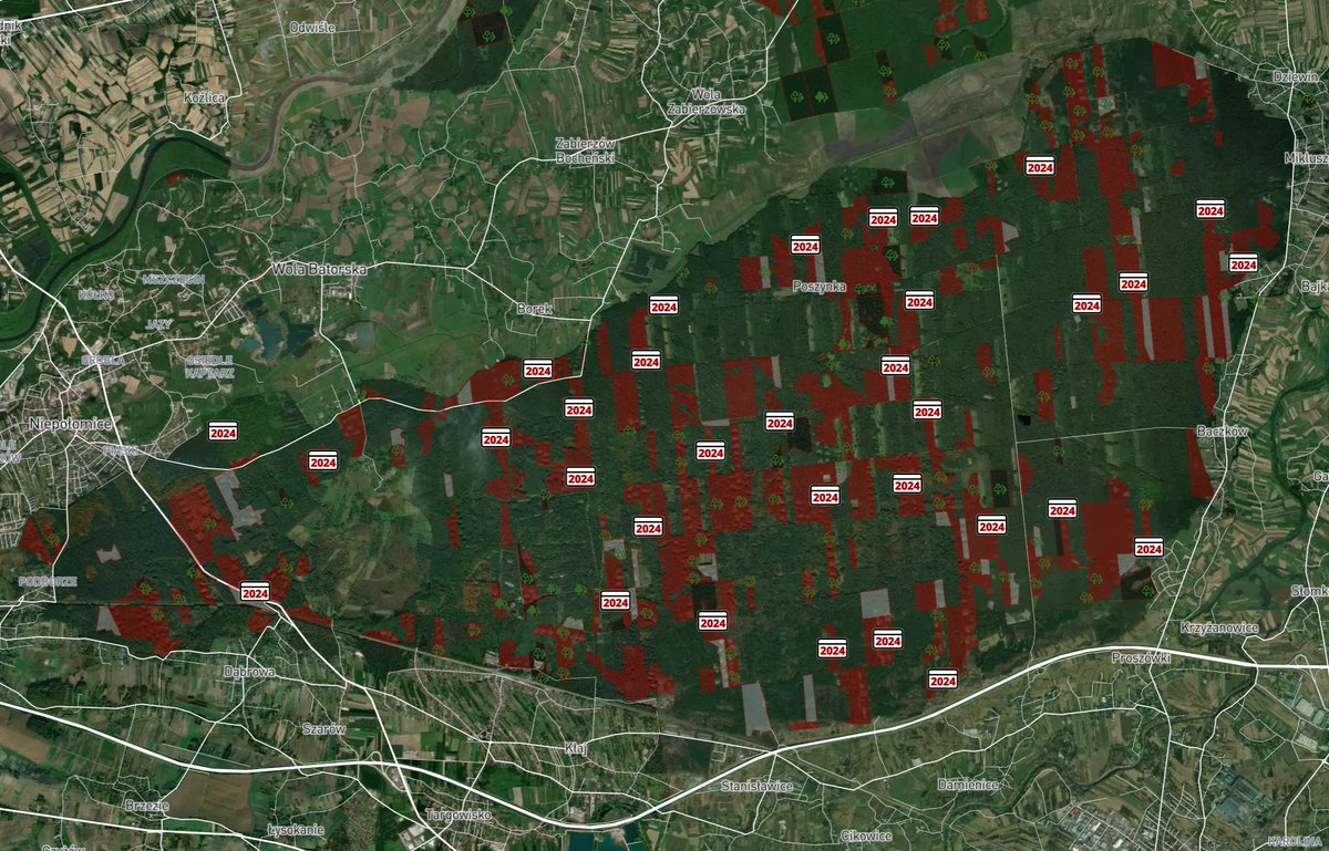 Sprawdź gdzie wytną twój las!
Jest już aktualizacja mapy wycinek na 2024 rok autorstwa inicjatywy Lasy i Obywatele: mapy.lasyiobywatele.pl/zanim-wytna-tw…