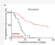 Anton Henssen (@anton_gh) on Twitter photo Happy to share this work by Fabian and <a href="/HeathcliffDora1/">Heathcliff Dorado Garcia</a> in our group describing the preclinical activity of Elimusertib, an ATR inhibitor, in childhood cancer models. Out in <a href="/MCT_AACR/">Molecular Cancer Therapeutics</a> 👇👇🔥🔥
aacrjournals.org/mct/article/do… Happy to share this work by Fabian and <a href="/HeathcliffDora1/">Heathcliff Dorado Garcia</a> in our group describing the preclinical activity of Elimusertib, an ATR inhibitor, in childhood cancer models. Out in <a href="/MCT_AACR/">Molecular Cancer Therapeutics</a> 👇👇🔥🔥
aacrjournals.org/mct/article/do…
