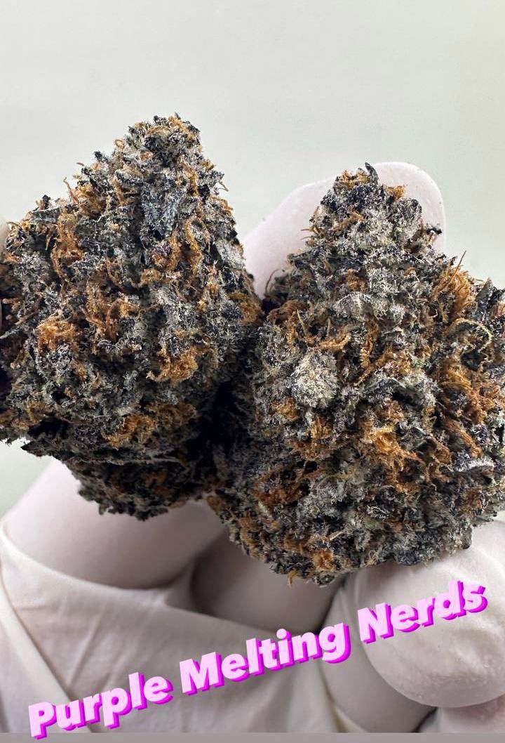 lavishtrips1's tweet photo. #Weed #htx #molly #mdma #carts #plug  #texas #Houston #lsd #houstonplug #gas #zaza #dropoff #xanax #southwest #galleria #meetups https://t.co/s020EQyt1g