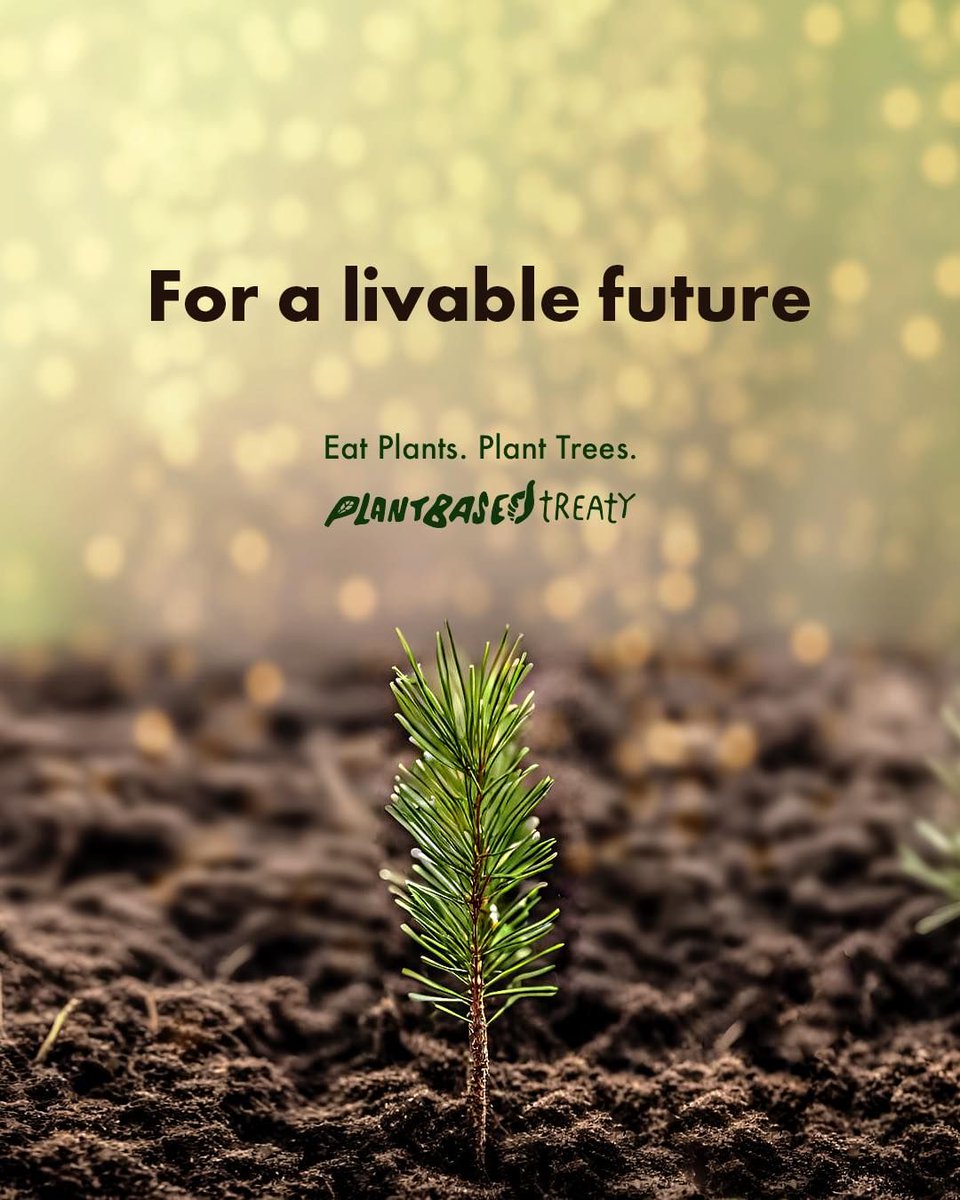 Los Angeles Animal Save tweet media